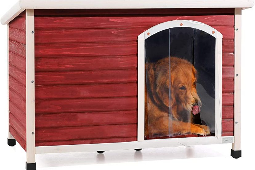 Large Insulated Dog House